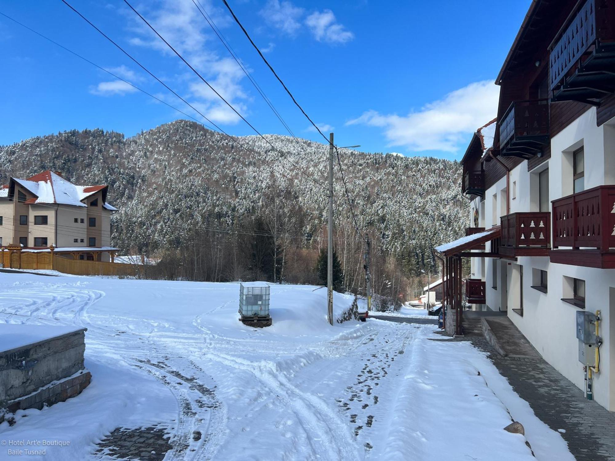 Art'E Boutique Rooms BaileTusnad Buitenkant foto
