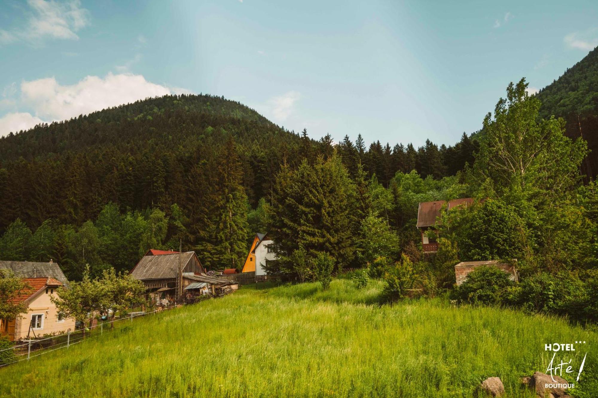 Art'E Boutique Rooms BaileTusnad Buitenkant foto